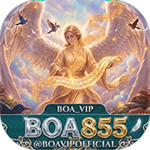 BOA855 Logo